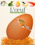 A la une - L'oeuf