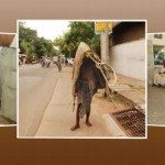 Food and health in cross-cultural perspectives : policies and practices