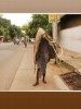 Food and health in cross-cultural perspectives : policies and practices