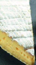De la genèse des fromages : contribution à la réflexion sur l’identité des fromages de Brie.