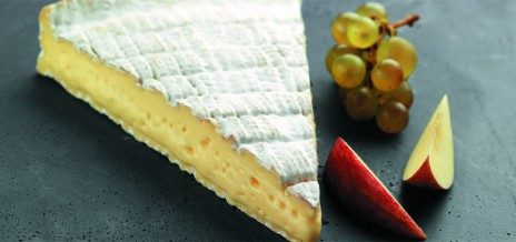 De la genèse des fromages : contribution à la réflexion sur l’identité des fromages de Brie.