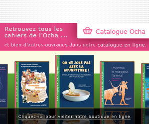 promotion boutique ocha2